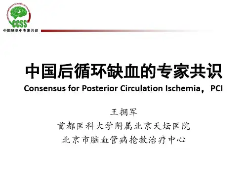 中国后循环缺血的专家共识