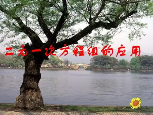 二元一次方程解决实际问题