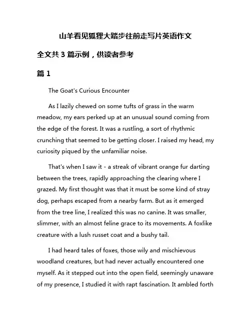 山羊看见狐狸大踏步往前走写片英语作文