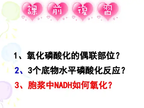 糖代谢PPT课件