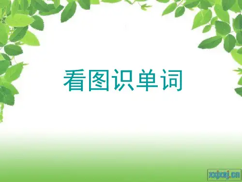 看图识单词(二)