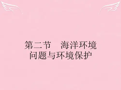 高中地理 6.2 海洋环境问题与环境保护课件 新人教版选修2