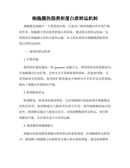 细胞膜的脂类和蛋白质转运机制