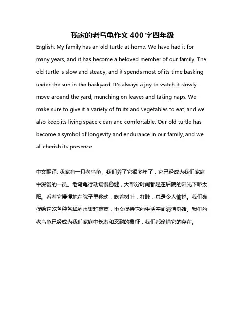 我家的老乌龟作文400字四年级