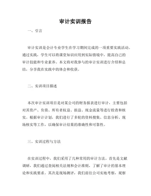 审计实训报告