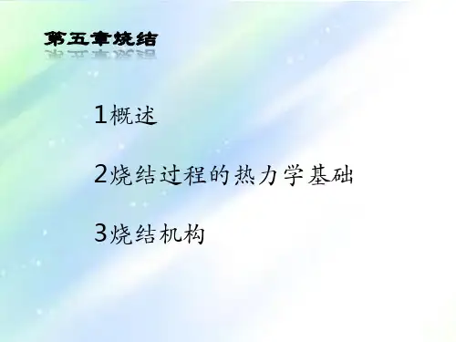 粉末冶金原理 烧结 PPT