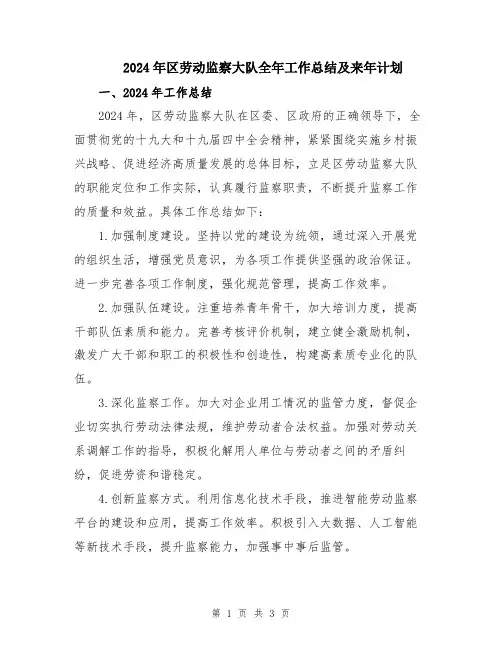 2024年区劳动监察大队全年工作总结及来年计划