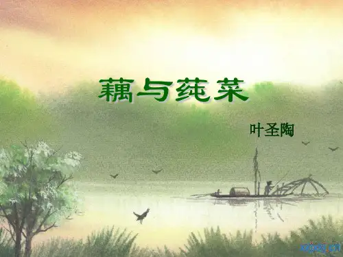 沪教版语文七年级上册第8课《藕与莼菜》课件4