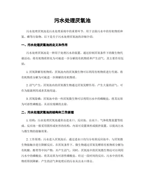 污水处理厌氧池