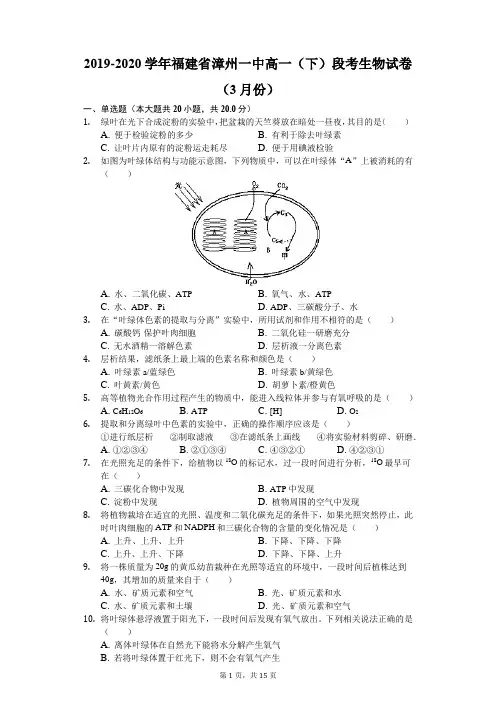 2019-2020学年福建省漳州一中高一(下)段考生物试卷(3月份)(解析版)