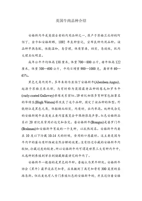 英国牛肉品种介绍