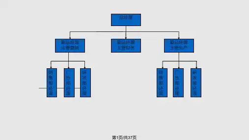 公司组织结构图PPT课件