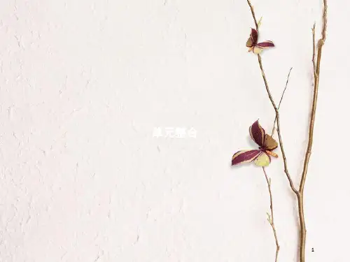 九年级历史下册 单元整合2课件 北师大版.pptx