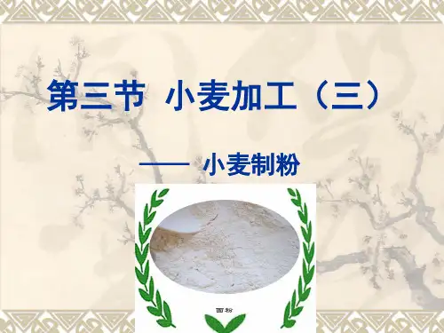 第三节-小麦加工(三).