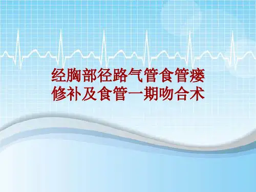 手术讲解模板：经胸部径路气管食管瘘修补及食管一期吻合术