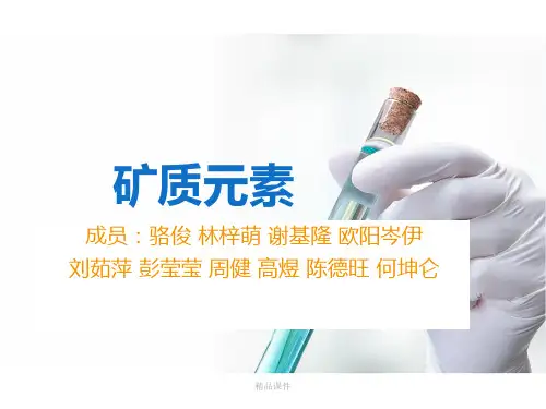 食品分析矿物质