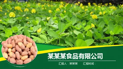 农产品项目汇报PPT