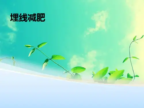 埋线减肥