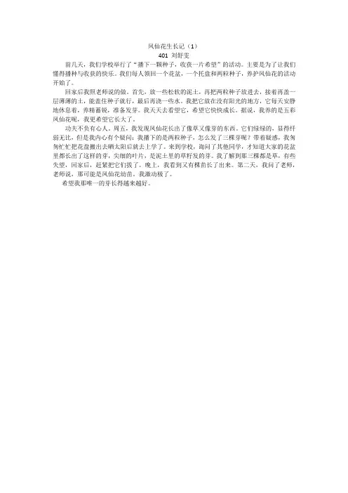 凤仙花生长记(1)