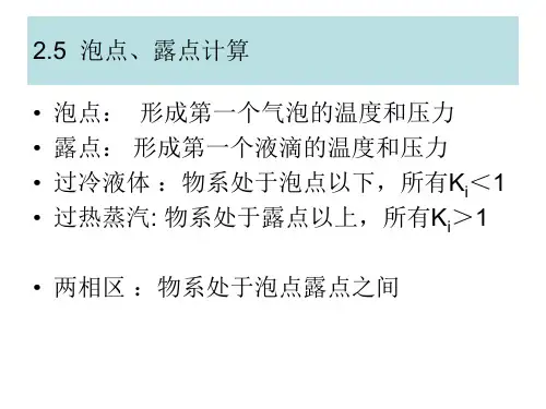 第二章-3 泡露点计算