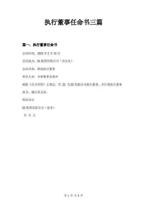 执行董事任命书三篇