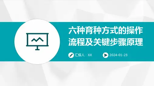 六种育种方式的操作流程及关键步骤原理