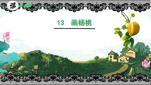 画杨桃课件(共43张PPT)