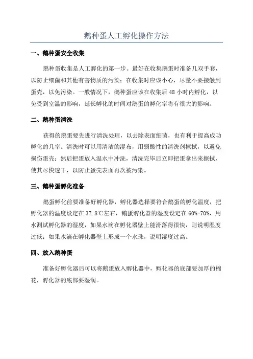 鹅种蛋人工孵化操作方法