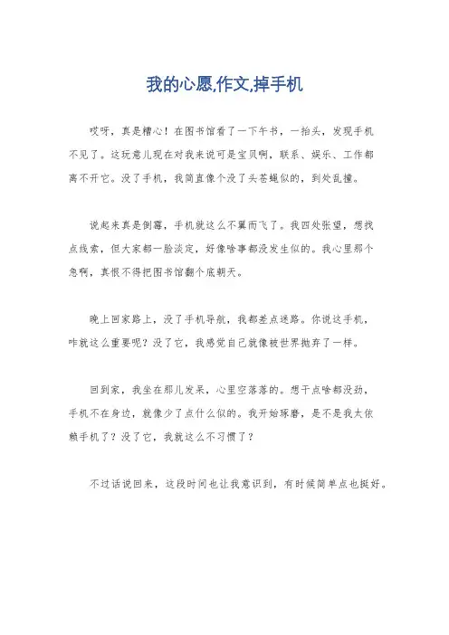 我的心愿,作文,掉手机