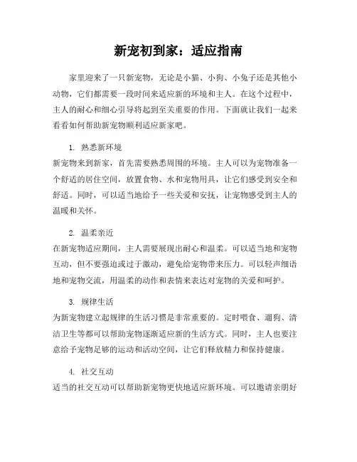 新宠初到家：适应指南