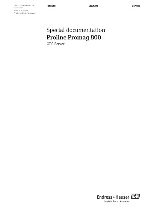Endress+Hauser Proline Promag 800 OPC Server 用户手册说