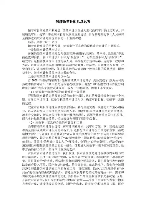 对绩效审计的几点思考
