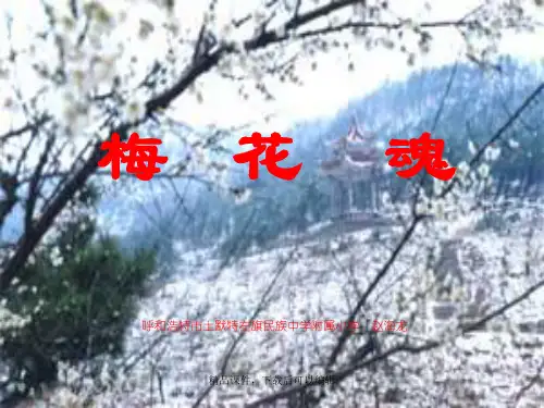 五年级语文上册《梅花魂》PPT完美版【精编ppt】