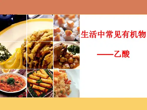 乙酸说课比赛课件