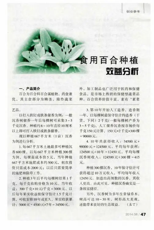 食用百合种植效益分析