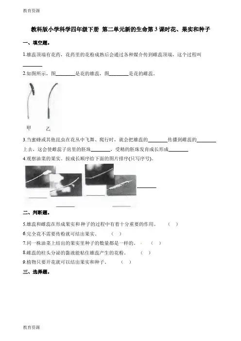 【教育资料】四年级下册科学一课一练第二单元新的生命第3课时花果实和种子∣教科版学习专用