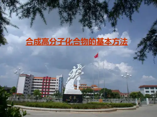 《合成高分子》优秀ppt人教