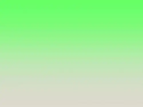 新北师大版八年级语文上册课件5小石潭记2 (共40张PPT)