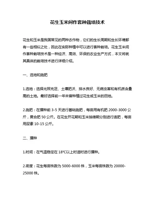 花生玉米间作套种栽培技术