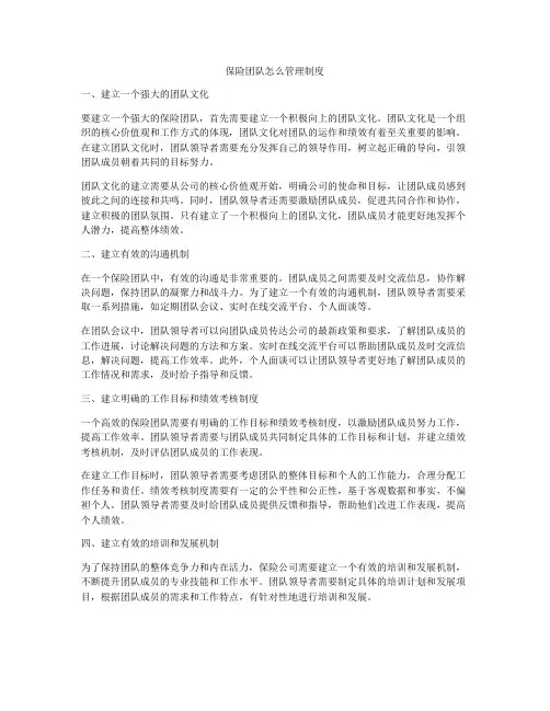 保险团队怎么管理制度