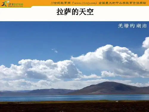 三年级语文上册ppt课件苏教版拉萨的天空