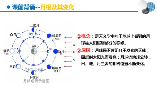 潮汐课件-高中地理人教版(2019)必修一 -