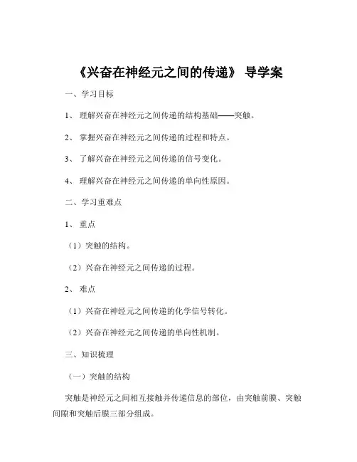 《兴奋在神经元之间的传递》 导学案