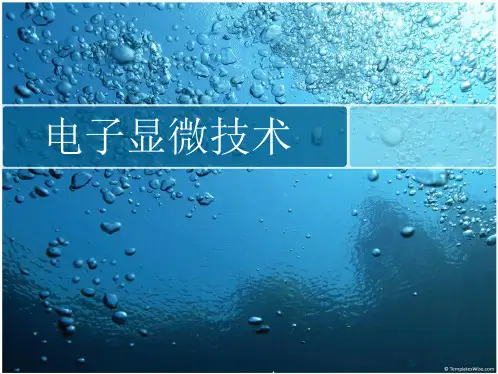 电子显微技术