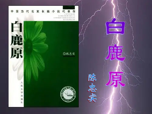 《白鹿原》 PPT课件