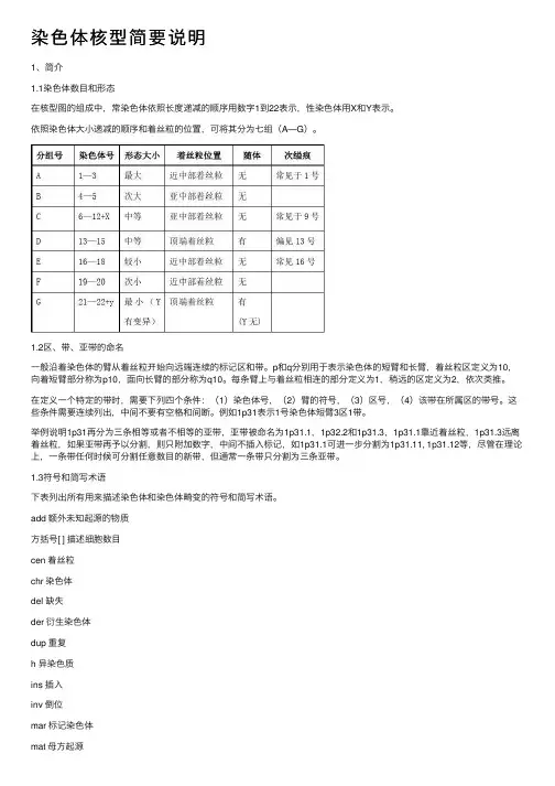 染色体核型简要说明
