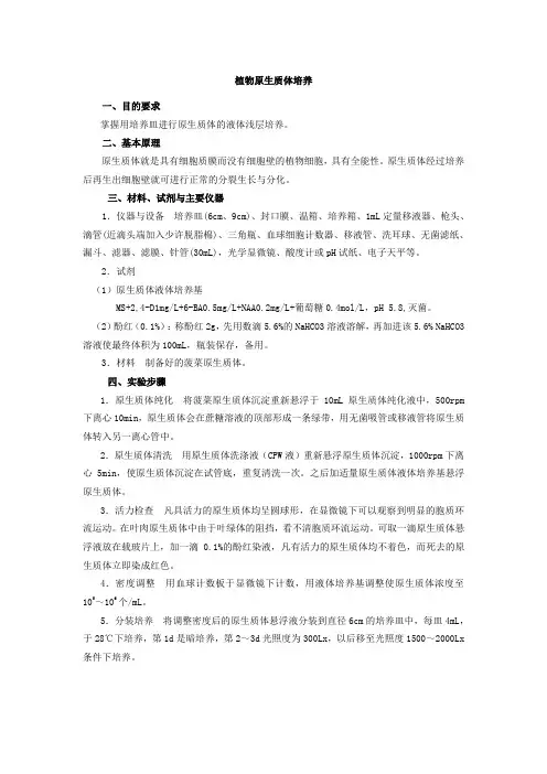 植物原生质体培养