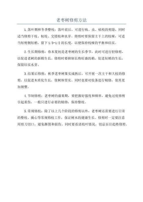 老枣树修剪方法