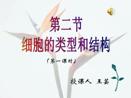 高中生物细胞的类型和结构PPT11 苏教版