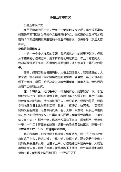 小偷五年级作文